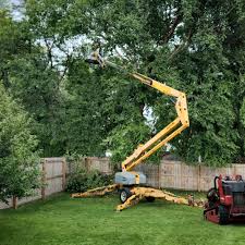 Best Lawn Grading and Leveling  in Mapleton, MN