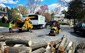  Mapleton, MN Tree Care Services Pros